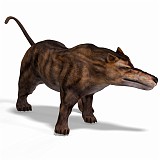 Andrewsarchus 08 B_0001